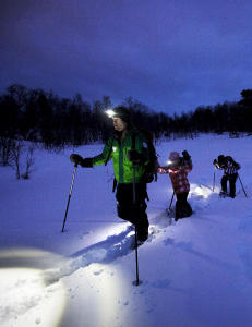 Er du en ljil kan du si du skremte felefrans med en junji