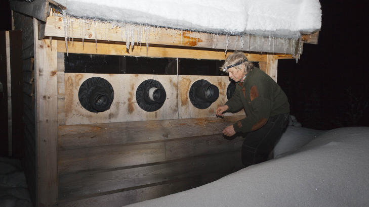 UTSIDEN: Jostein Hellvik gj�r i stand for dagens �rneobservasjoner p� utsiden av skjulet Gaupebu. Foto: PER FL�THE