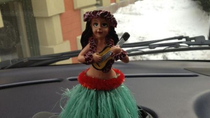 HULA HULA: Denne dama lokker fram smilet hos kronprinsessen n�r hun sitter bak rattet i el-bilen sin. Foto: Kronprisesse Mette-Marits Twitter-profil
