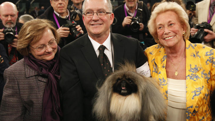 VINNEREN: Malachy ble k�ret til �rets vakreste hund. Her sammen med eierene sin David Fitzpatrick etter seieren i  Westminster Kennel Club Dog Show i New York's Madison Square Garden, Foto: REUTERS/SCANPIX.
