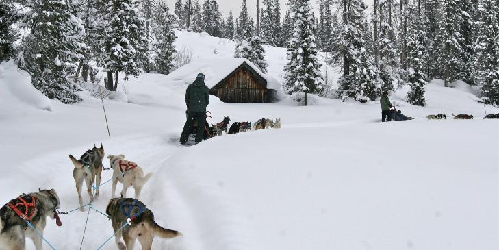 UT P� TUR: Bli med p� hundesledekj�ring. Her fra Beito. Foto: ODD ROAR LANGE