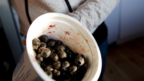 Selvberging: Det fins ikke mat som er bedre og billigere enn skogens gode saker. Siri har s�rget for selvplukket sopp og bl�vb�r for vinteren.    Foto: Anita Arntzen / Dagbladet