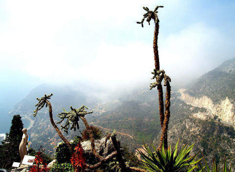 �ZE: Fjellandsbyen �ze byr p� en fantastisk botanisk hage og en like fantastisk utsikt. Foto: TERJE MOSNES