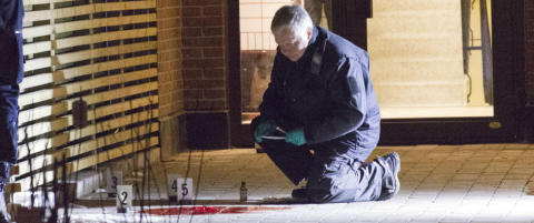 - En familietragedie med en barnefordelingssak i bunn