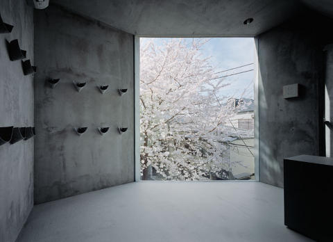 UTSIKT: Store vinduer rammer inn naboens vakre kirseb�rtre.  Foto: Takumi Oota/Schemata Architecture Office