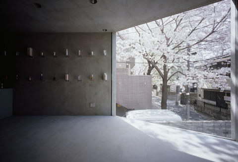 BLOMSTER OG BETONG: Kontrastene mellom kirseb�rtreet og den r� betongen i det smale huset er stor. Foto: Takumi Oota/Schemata Architecture Office