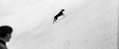 Bikkja i bakken kan gj�re comeback