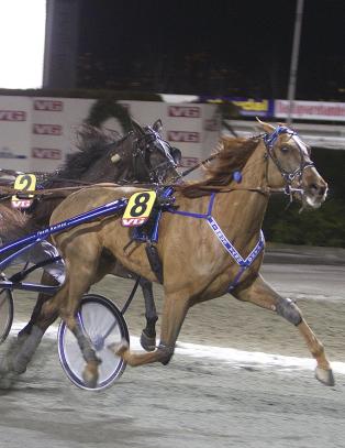 Gassen i bånn for V75-favoritt