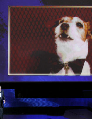 Streep, stumfilm og hunden Uggie til topps
