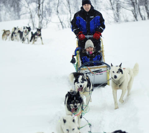 HUNDEKJ�RING: P� Finnsnes, i Kirkenes eller her ved Troms� villmarkssenter. Foto: INGUN A. M�HLUM
