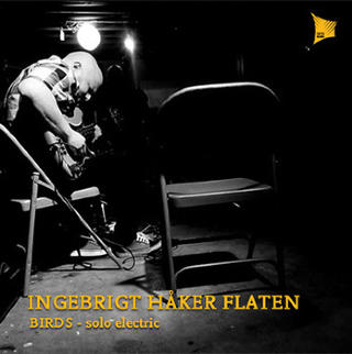 INGEBRIGT H�KER FLATEN: Energisk fra elektrisk bass.