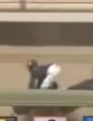 �tte hester til start - Bare Miss Fifty kom i m�l