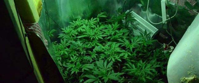 Tromsømann dyrket cannabis under jorda