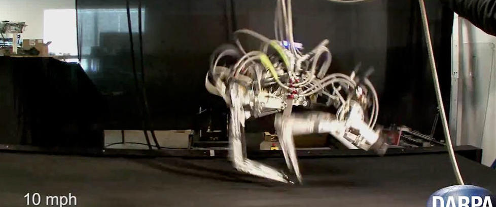 Tror du taliban-soldater blir skremt av denne robotbikkja?