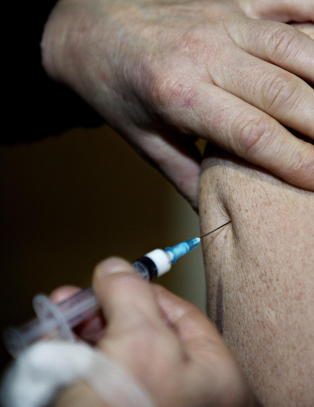 5.500 reaksjoner på svineinfluensavaksinen