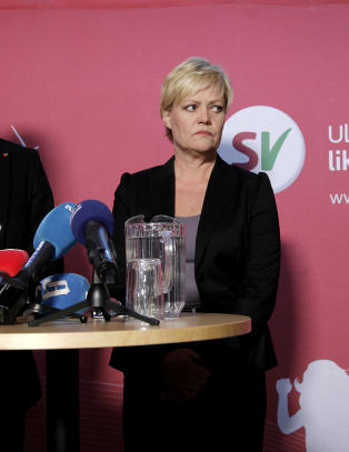 - Jeg har f�tt et innblikk i den uroen som har v�rt i partiet