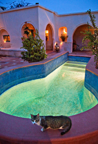 FARGEBAD: Ogs� sv�mmeanlegget p� Dar Dhiafa er malt i fristende, delikate farger. Foto: BARBRO F. STEINDE