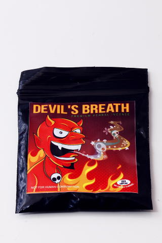 �DEVIL`S BREATH�: Syntetisk cannabinoider fikk navnet �Spice� fordi kjemikaliene blir sparayet p� urter,
slik som her. N� finnes rusmiddelet ogs� i ren pulverform. Foto: Lars Myhren Holand / Dagbladet