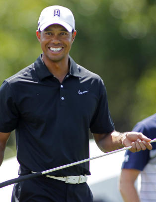 Lovende for smertefri Tiger