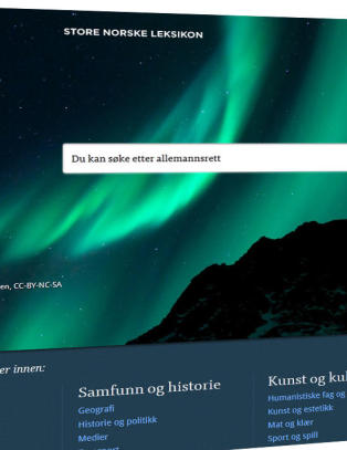 Har dette nettleksikonet livets rett?