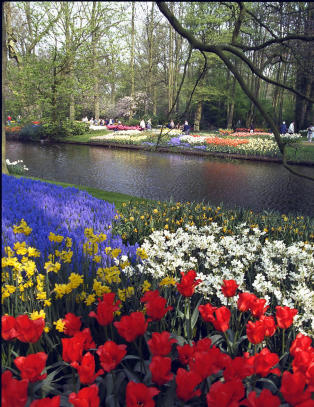 44 millioner mennesker har reist for � se dette blomsterbedet