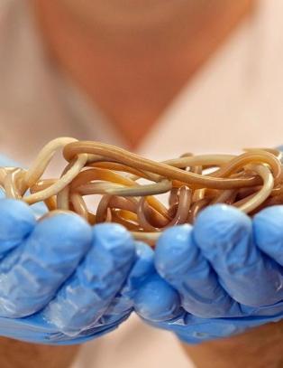 Se hva som ble med hjem fra Syden...