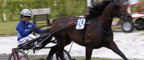Acolyte Hanover holder toppformen
