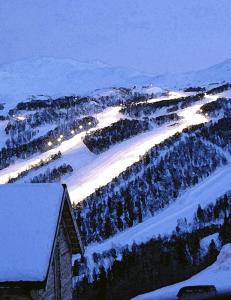 Sjekk hytta midt i smørøyet i Hemsedal