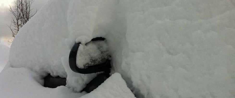 110 centimeter sn�!