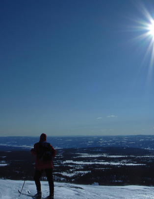 585 skadd i p�skefjellet