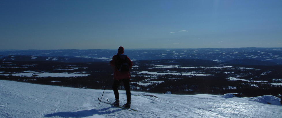 585 skadd i p�skefjellet