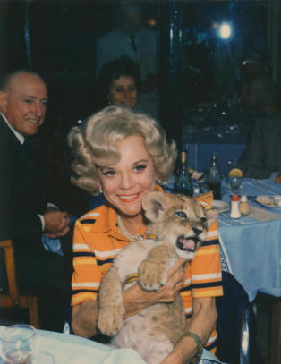 Avantgarde og showbiz p� Henie Onstad Kunstsenter