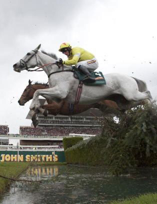 Sensasjonsseier da storfavoritten m�tte avlives i Grand National