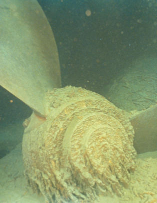 Myten p� havets bunn