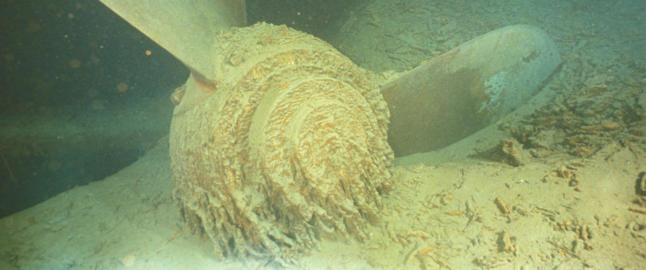 Myten p� havets bunn