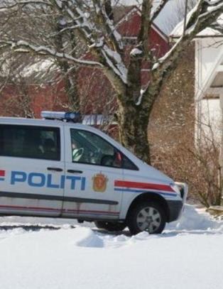 Litaueren som ble hengt opp etter armer og bein ligger fortsatt i koma