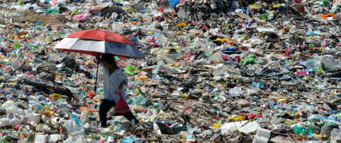Plast-spisende sopp kan redde oss fra s�ppelbergene