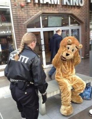 Her jages tiggeren kledd ut som l�ve fra sentrum