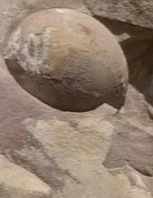 - Veiarbeidere fant 40 dinosaur-egg da de sprengte seg gjennom fjellside