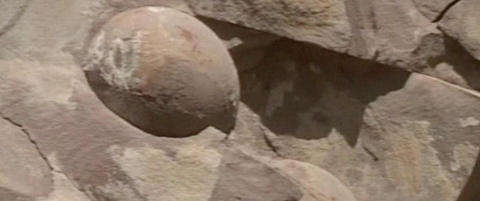 - Veiarbeidere fant 40 dinosaur-egg da de sprengte seg gjennom fjellside