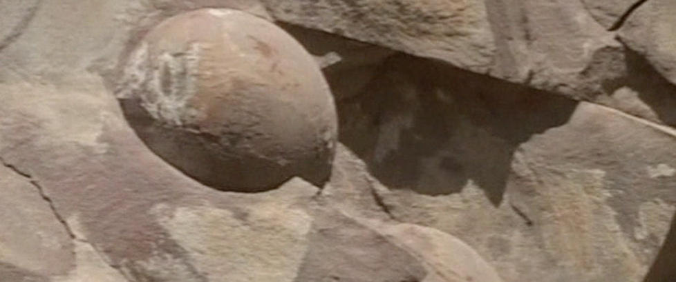 - Veiarbeidere fant 40 dinosaur-egg da de sprengte seg gjennom fjellside