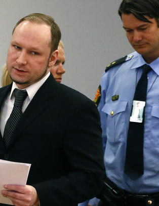 - Når forsto du at dette var et glansbilde?