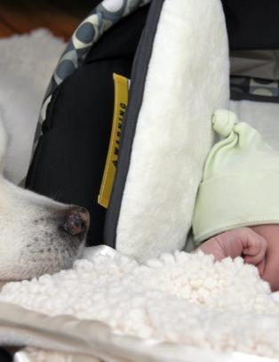 La hunden f� lukte litt p� babyen
