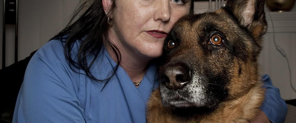 «Higgens» blir ikke avlivet, og er i stedet Norges kanskje dyreste hund