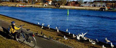 Snart kommer v�ren tilbake