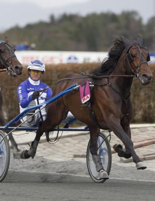 Travgevinstene fortsetter