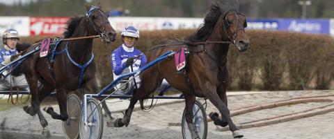 Travgevinstene fortsetter