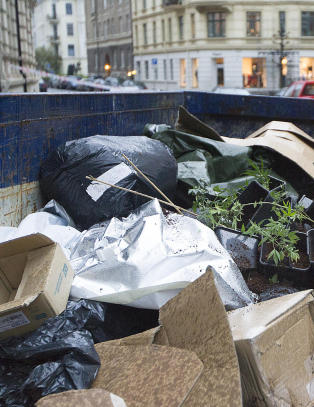 Fant hasjplantasje p� Frogner