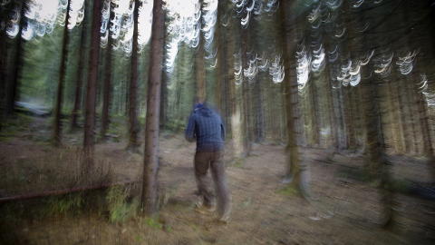 HEMMELIG STED: Tiggerne som holder til i telt i skogen flytter jevnlig teltene sine for at politiet ikke skal ta dem for å ødelegge marka og for forsøpling. Fredag ble fire av elleve telt fjernet. Foto: Tomm W. Christiansen / Dagbladet HEMMELIG STED: Tiggerne som holder til i telt i skogen flytter jevnlig teltene sine for at politiet ikke skal ta dem for å ødelegge marka og for forsøpling. Fredag ble fire av elleve telt fjernet. Foto: Tomm W. Christiansen / Dagbladet