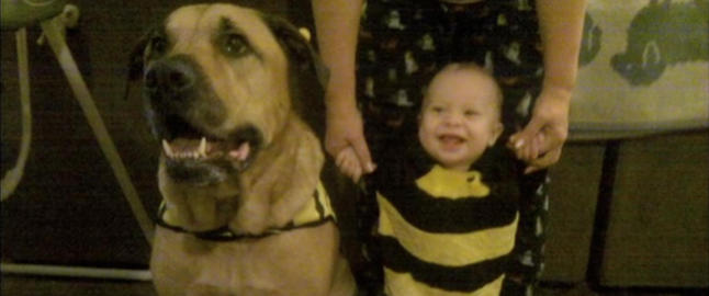 Lille Jeremiah hadde hatt en perfekt ettårsdag da han ble drept av familiens hund